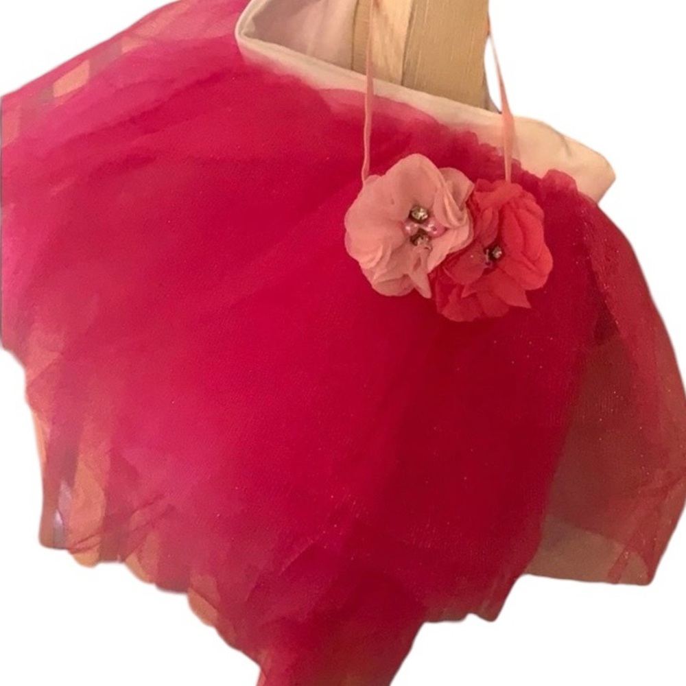 Tutu Belt Headband Set Pink Tulle OS EUC